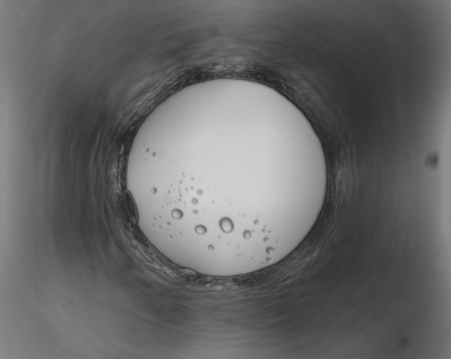 X0000116651250200912291609