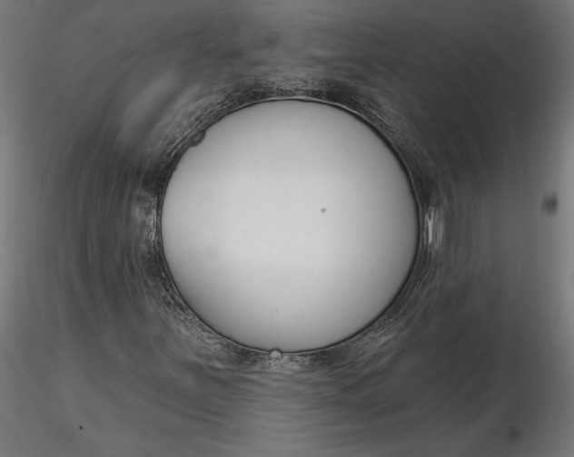 X0000116651251200912291609