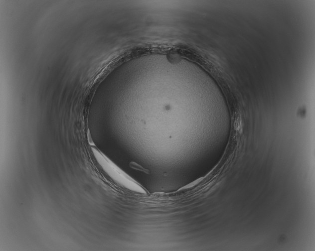 X0000116651252200912291609