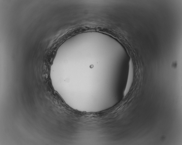 X0000116651253200912291609