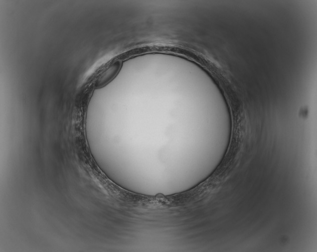 X0000116651255200912291609