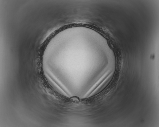 X0000116651256200912291609
