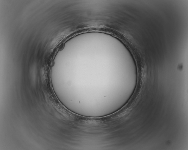 X0000116651257200912291609
