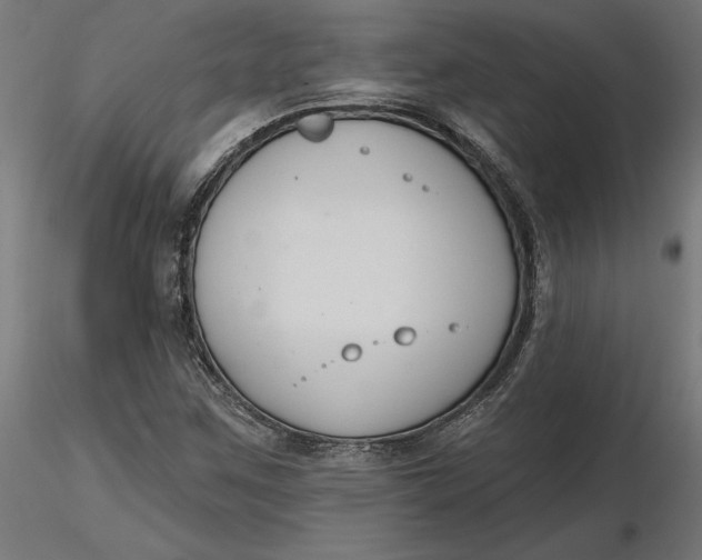 X0000116651259200912291609