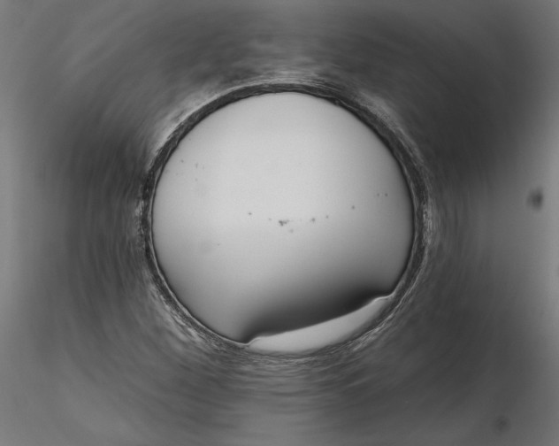 X0000116651260200912291609