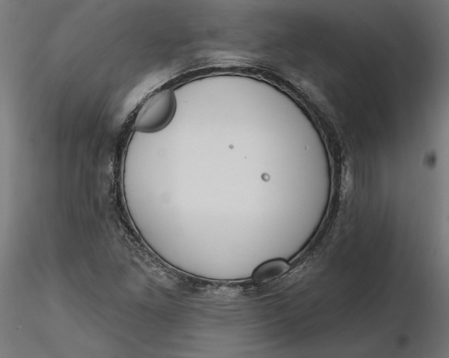 X0000116651261200912291609