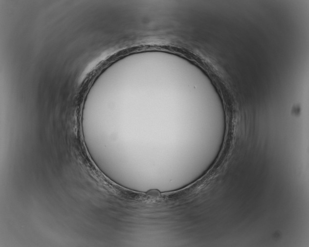 X0000116651262200912291609