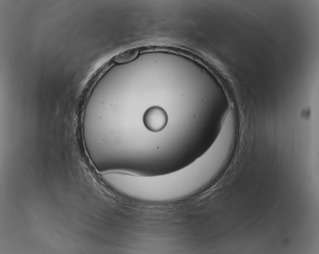 X0000116651264200912291609