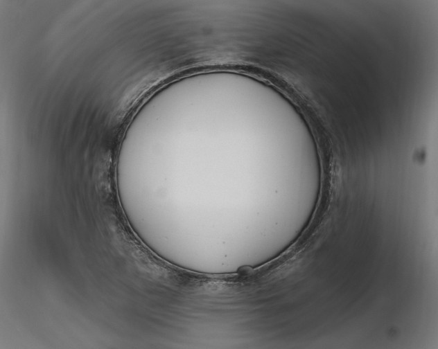 X0000116651265200912291609