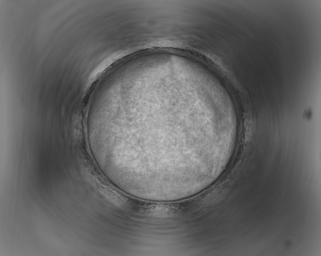 X0000116651266200912291609