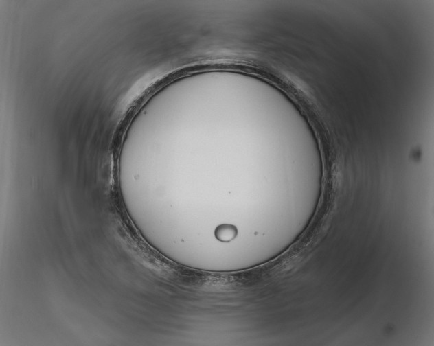 X0000116651267200912291609