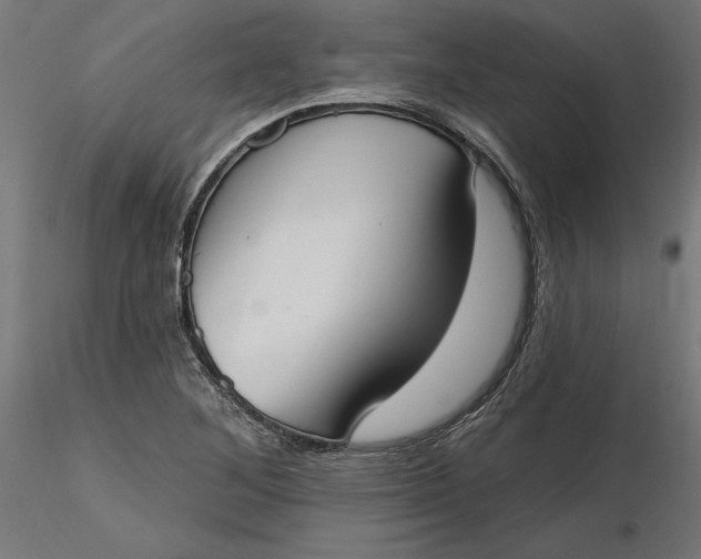X0000116651268200912291609
