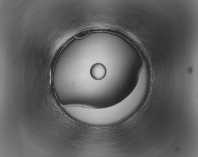 X0000116651269200912291609