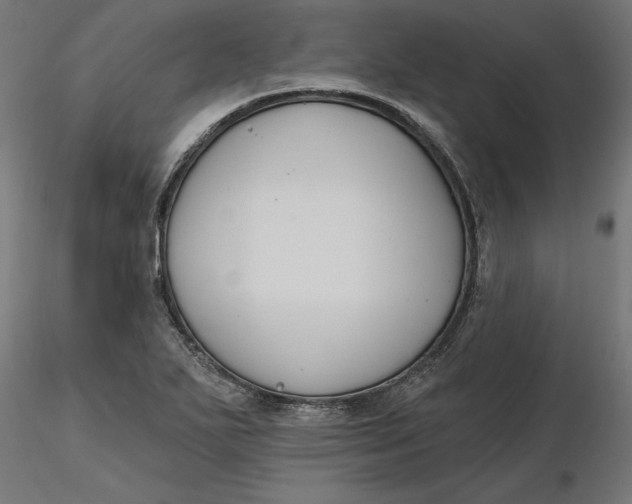 X0000116651271200912291608