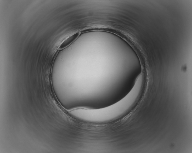 X0000116651273200912291608