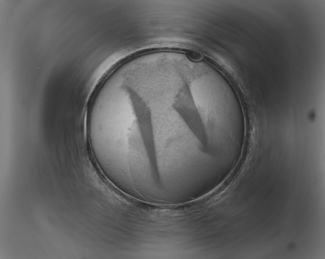 X0000116651275200912291608