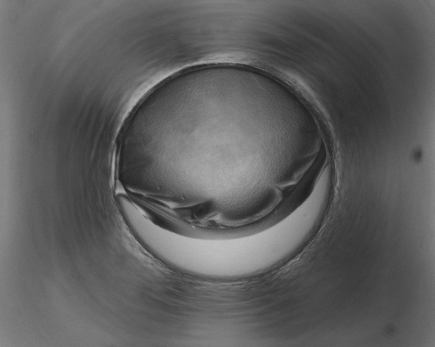 X0000116651276200912291608