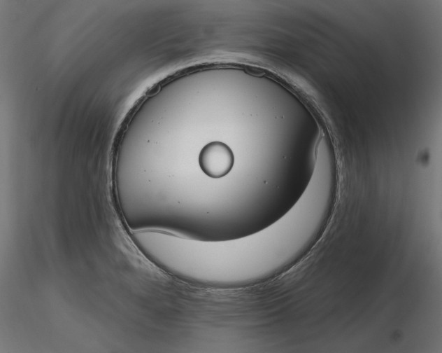 X0000116651280200912291608