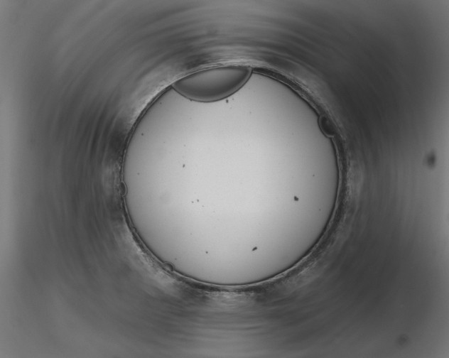 X0000116651281200912291608