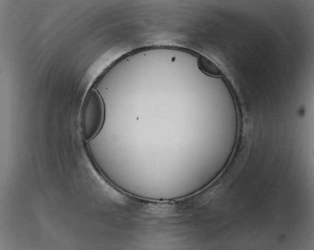 X0000116651285200912291608