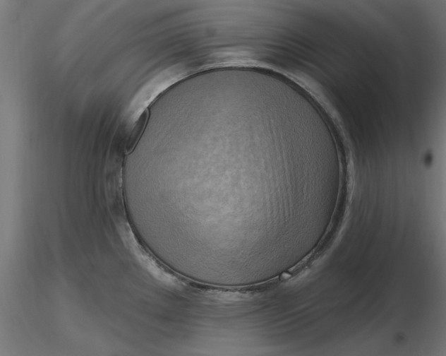 X0000116651289200912291608