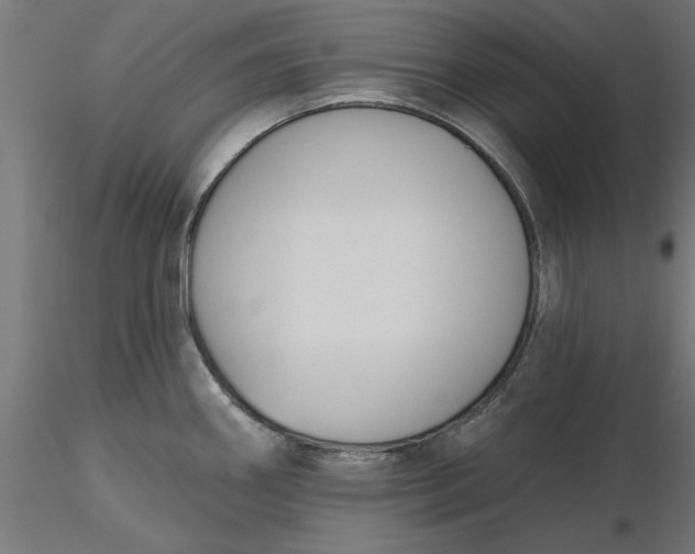 X0000116651290200912291608