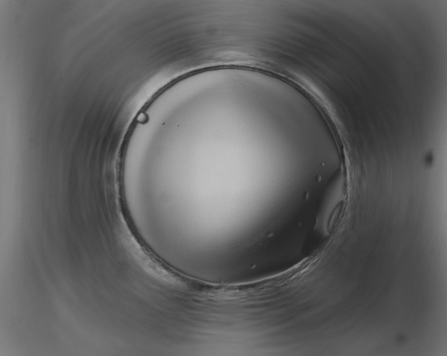 X0000116651291200912291608