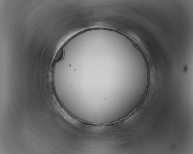 X0000116651292200912291608