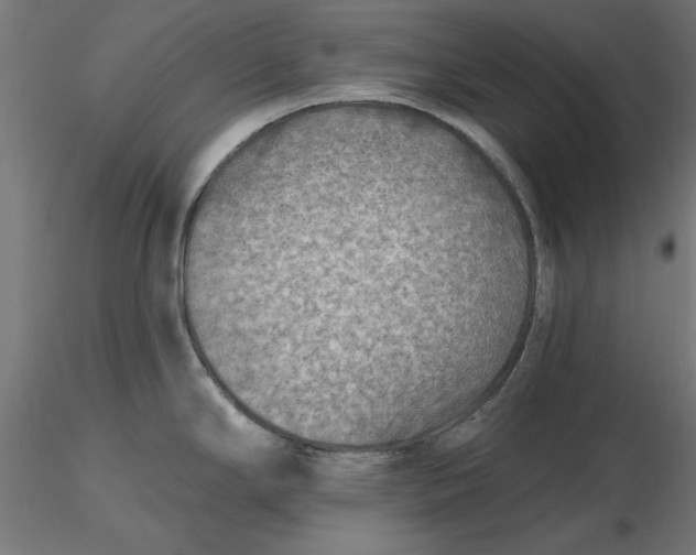 X0000116651294200912291608