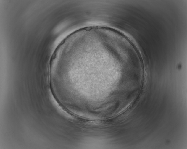 X0000116651295200912291608