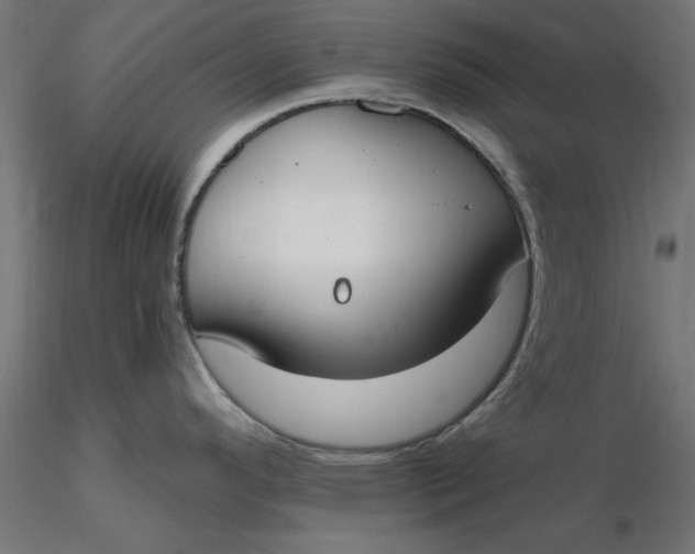 X0000116651296200912291608