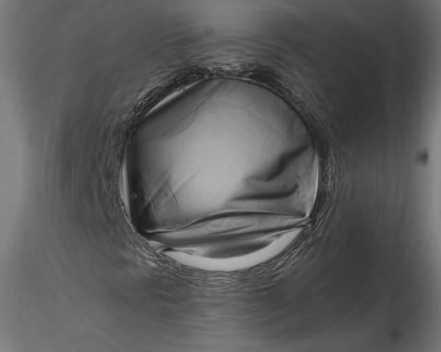 X0000116651297200912291607