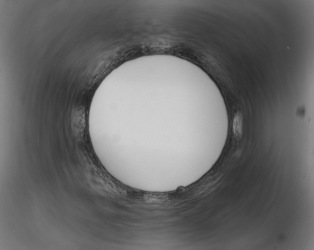 X0000116651299200912291608