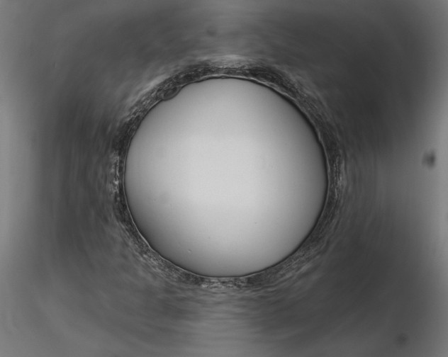 X0000116651301200912291608