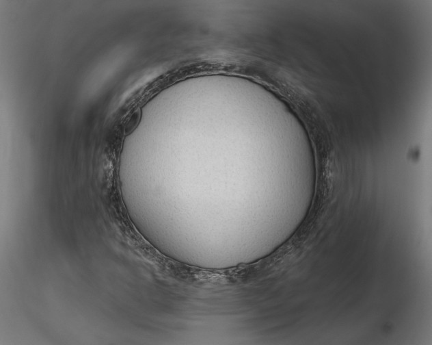 X0000116651302200912291608