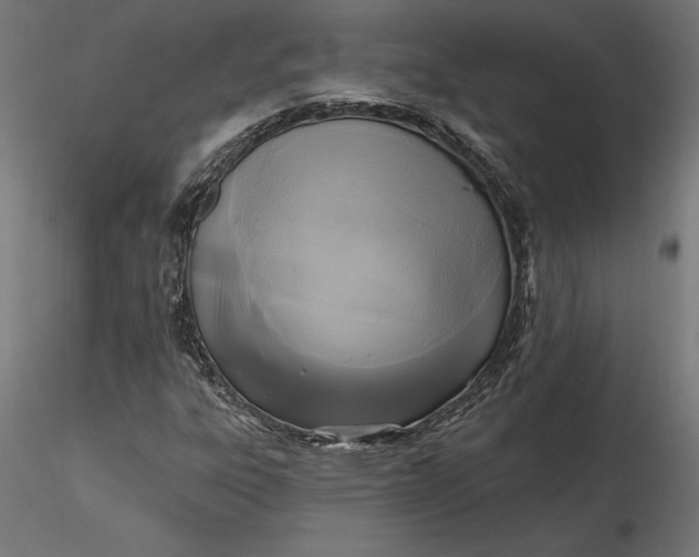 X0000116651303200912291608