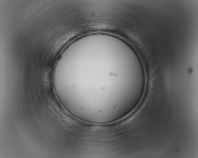 X0000116651305200912291608