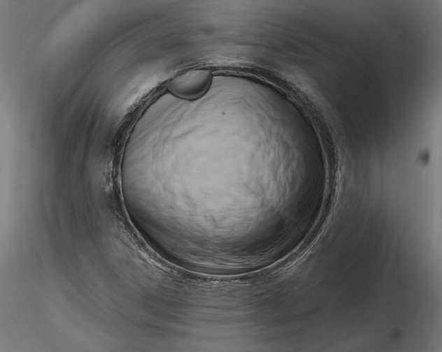 X0000116651306200912291608