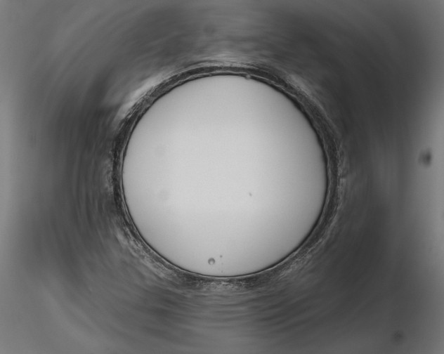 X0000116651307200912291608