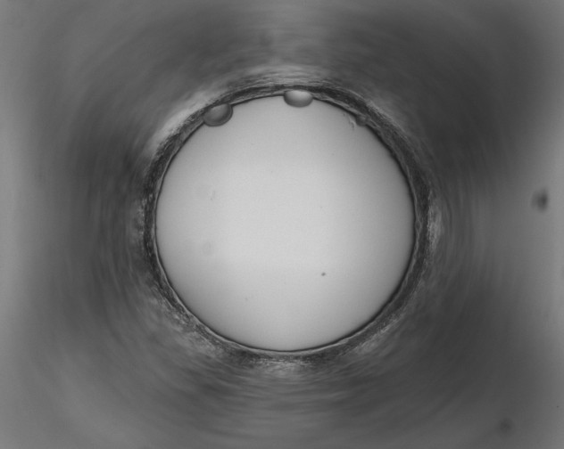 X0000116651309200912291608