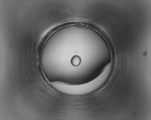 X0000116651310200912291608