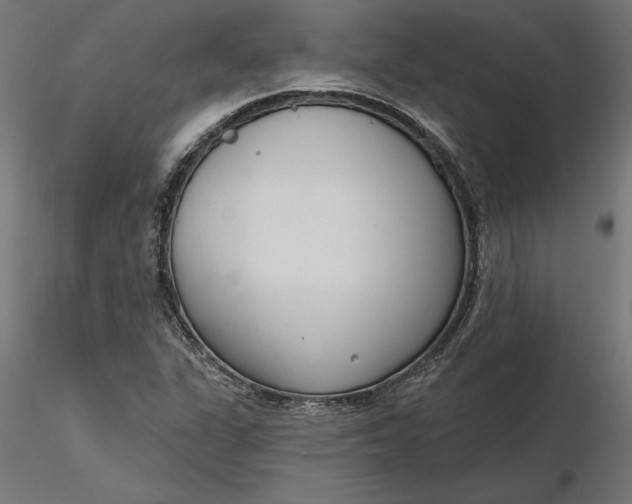 X0000116651311200912291608