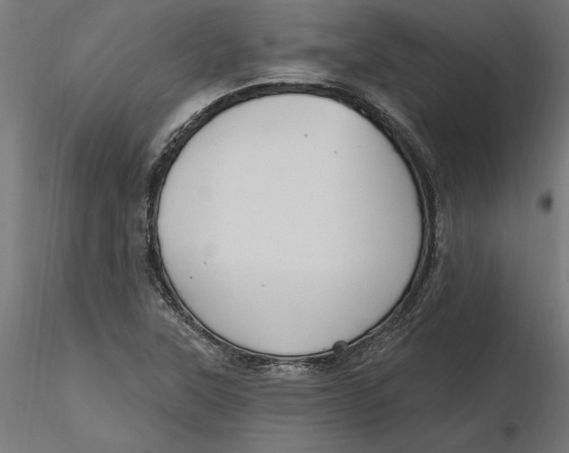 X0000116651315200912291608