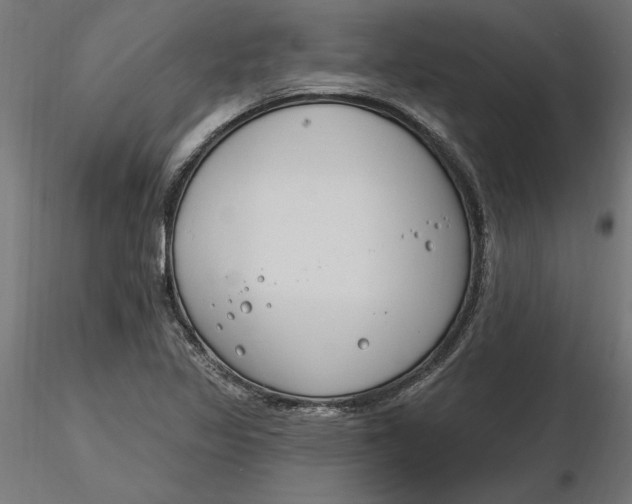 X0000116651317200912291608
