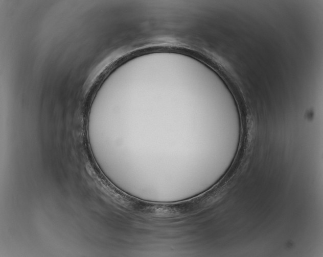 X0000116651318200912291608