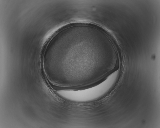 X0000116651319200912291608