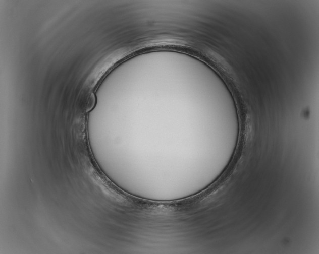 X0000116651321200912291608