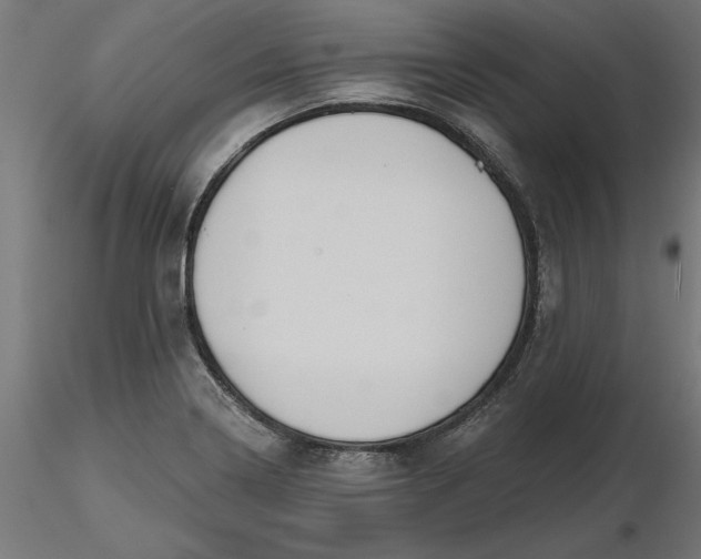 X0000116651322200912291608