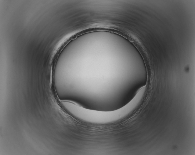 X0000116651323200912291608