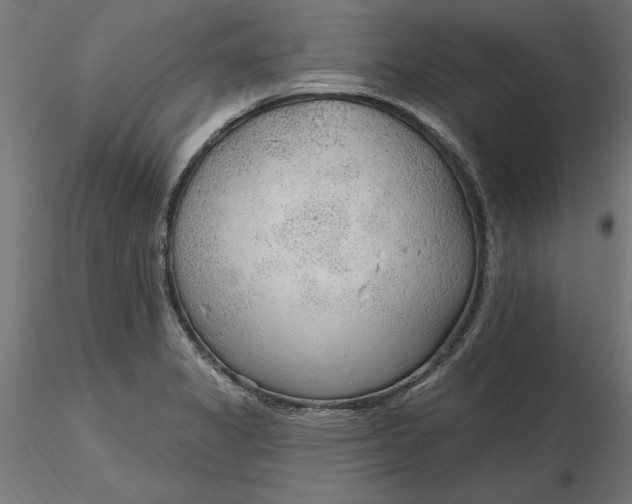 X0000116651325200912291608